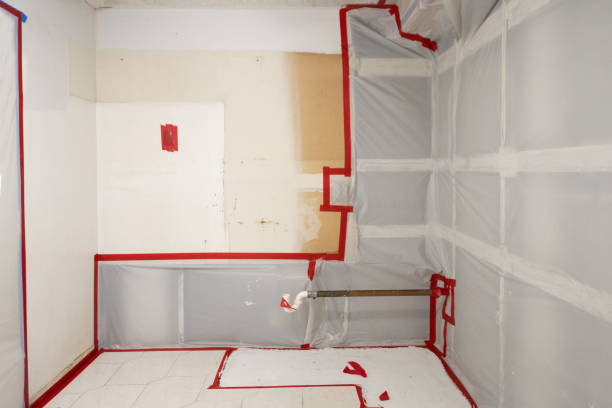 Best Biohazard Mold Removal  in Artesia, NM