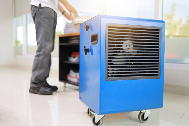 Best HVAC Mold Inspection and Cleaning  in Artesia, NM
