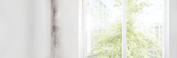 Mold Remediation for Rental Properties in Artesia, NM