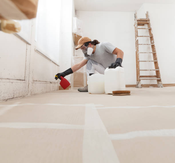 Best Black Mold Removal  in Artesia, NM